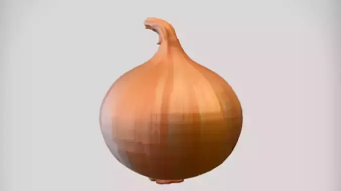 Single bulb onion on dark background