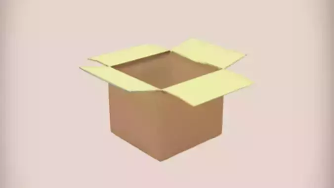 Open cardboard box