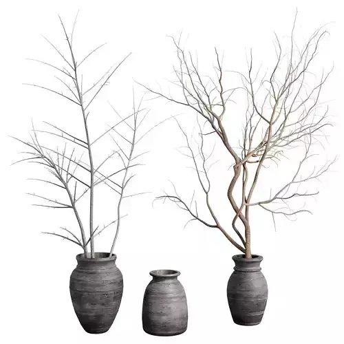 Dry branches in decorative old vases - indoor plant 496