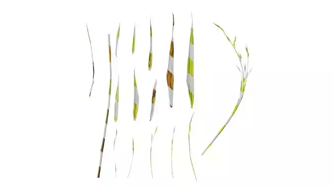 Anydrafts Hakonechloa macra aureola Atlas 03 Texture