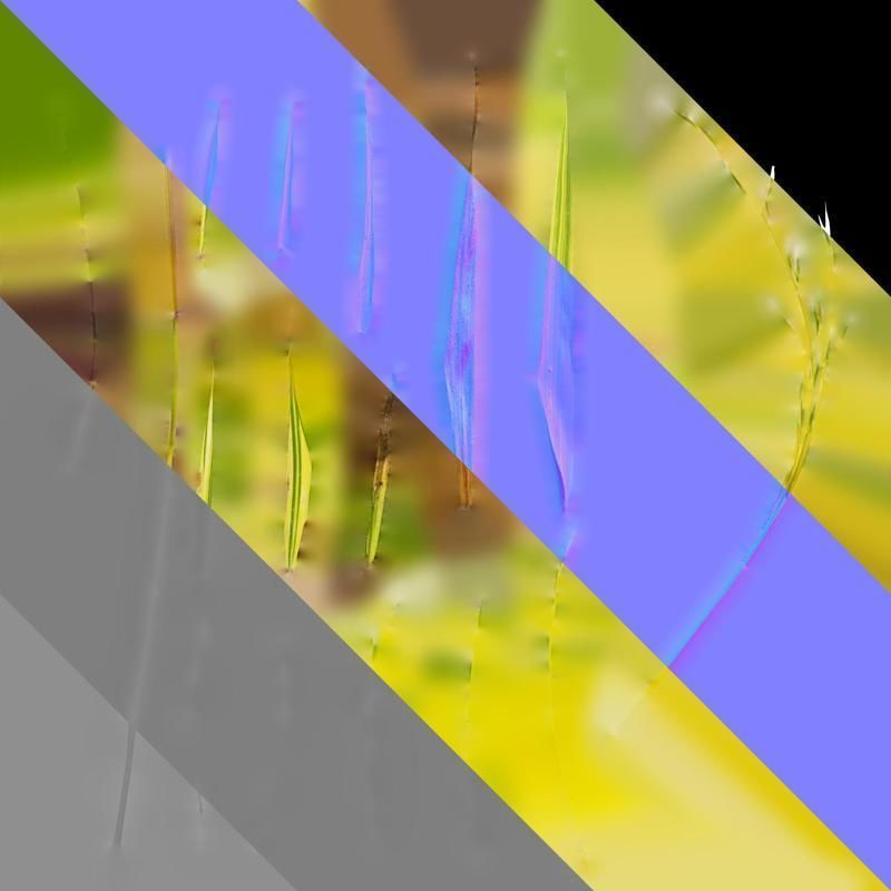 Anydrafts Hakonechloa macra aureola Atlas 03 Texture_8