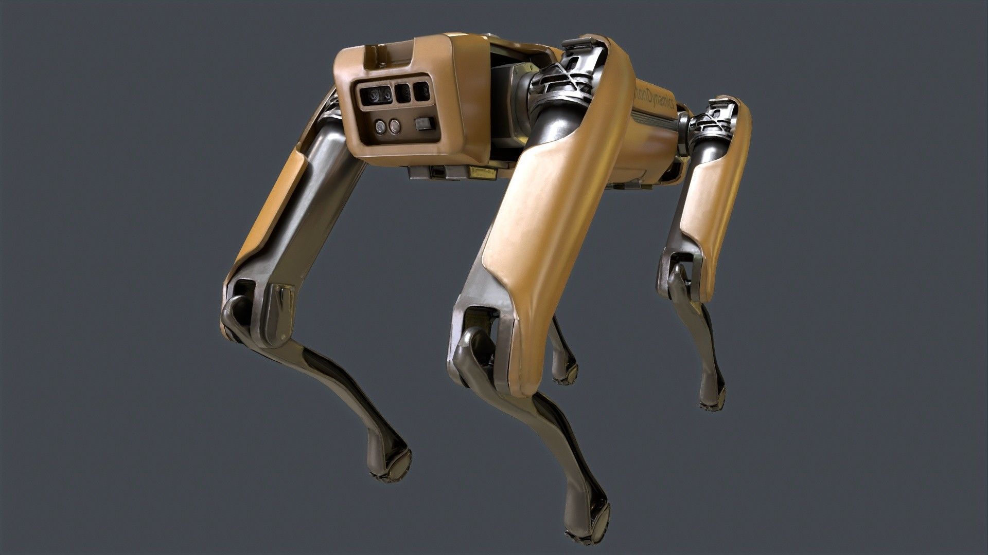 Spot Mini Robot 3D model_6