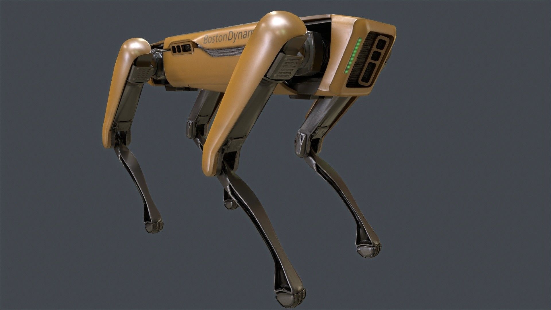 Spot Mini Robot 3D model_2