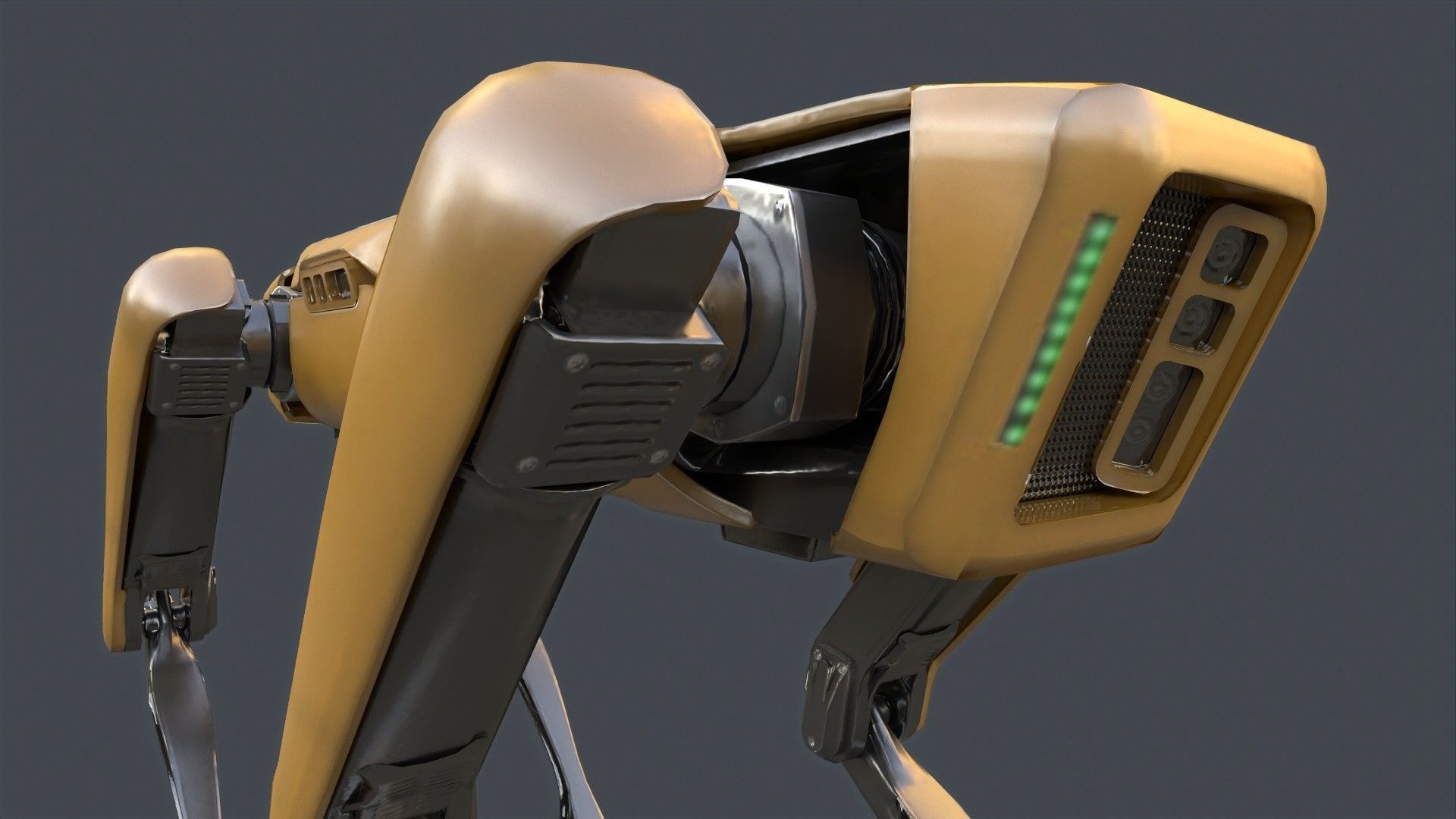 Spot Mini Robot 3D model_8