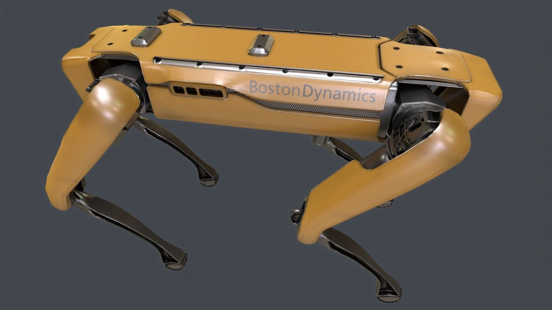 Spot Mini Robot 3D model_3