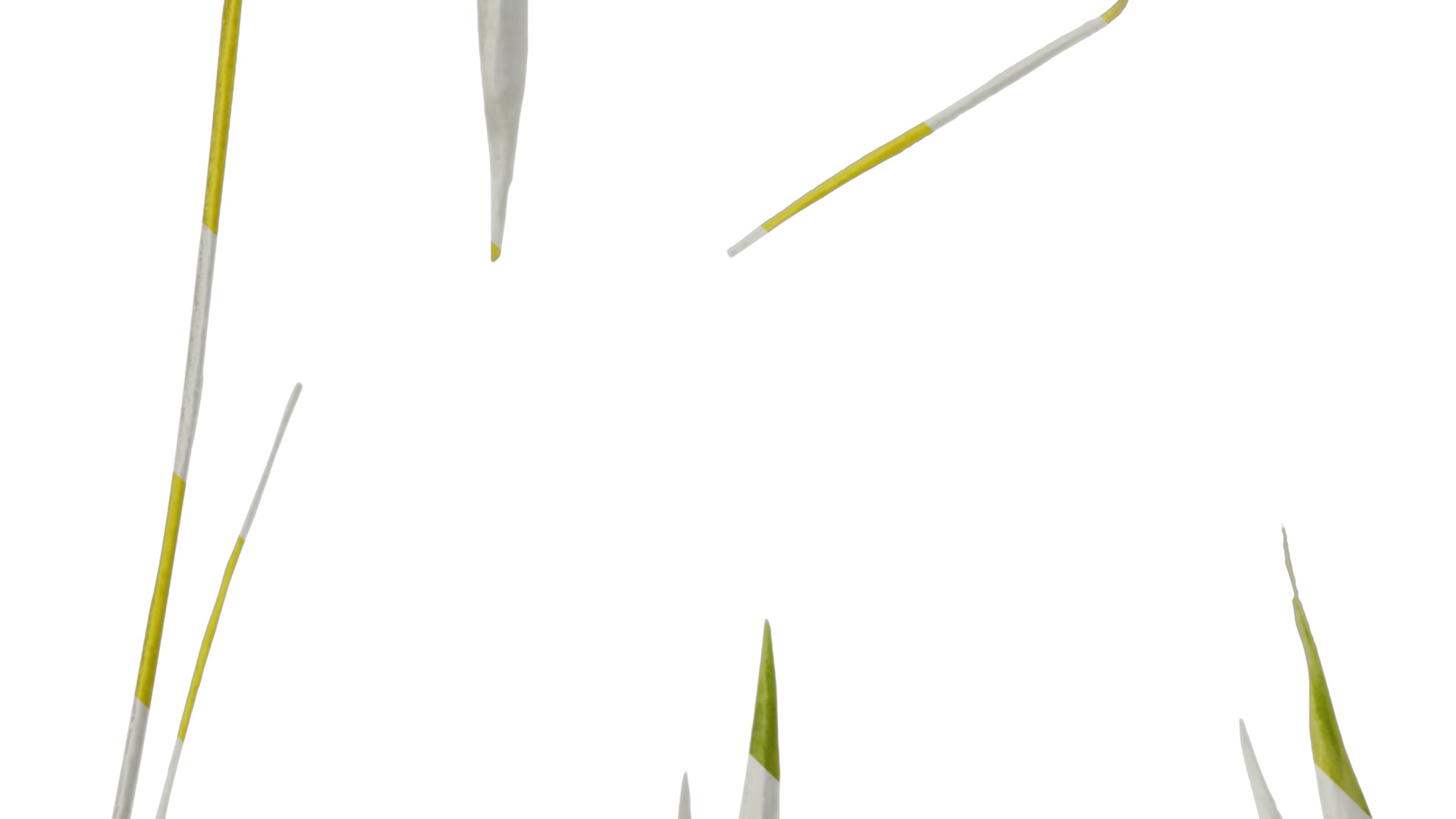 Anydrafts Hakonechloa macra aureola Flower 02 Texture_5