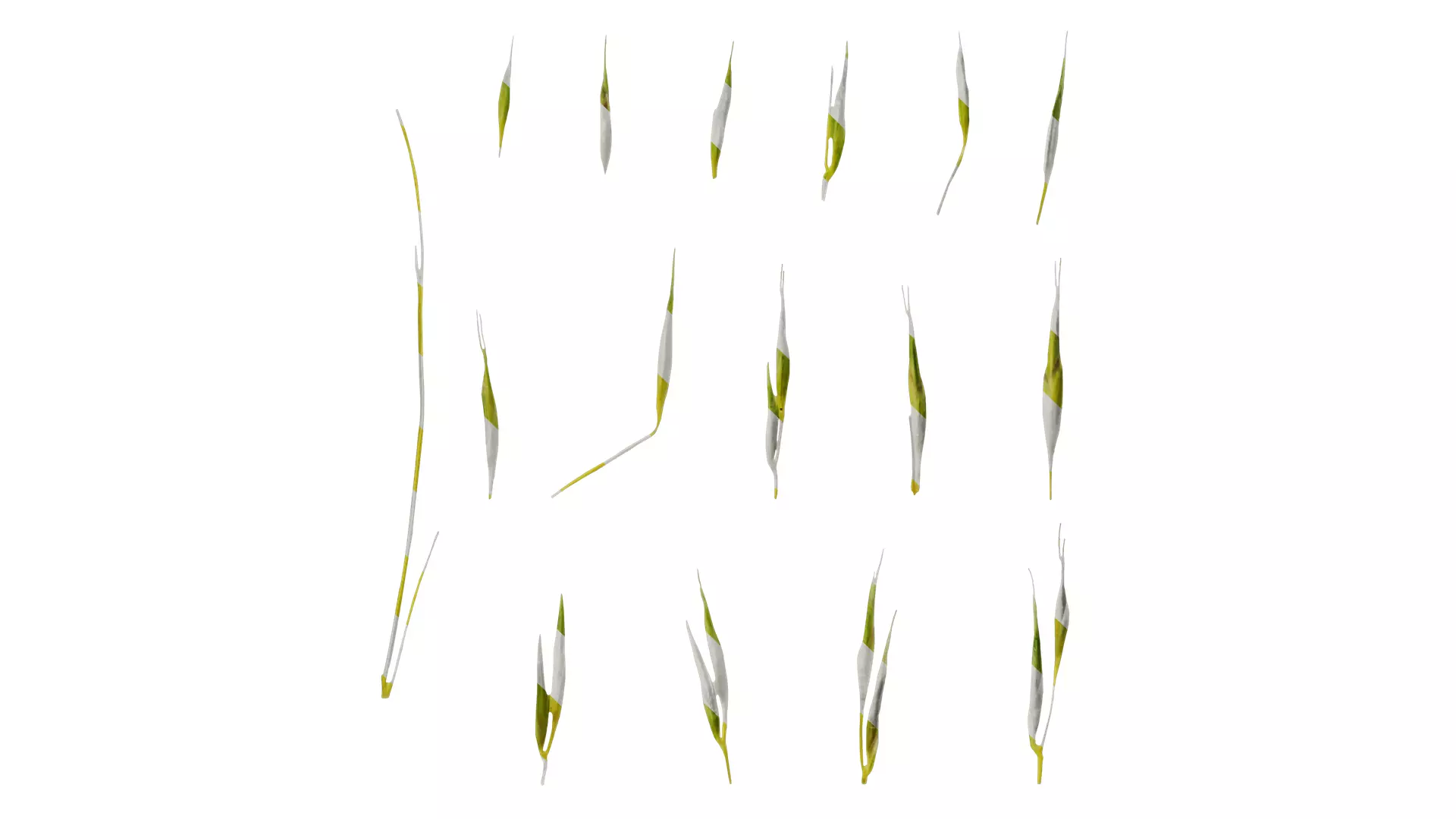 Anydrafts Hakonechloa macra aureola Flower 02 Texture_0