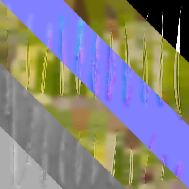 Anydrafts Hakonechloa macra aureola Leaf 01 Texture_8