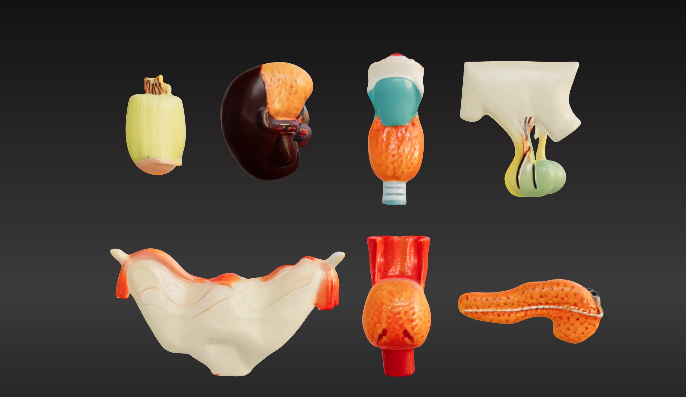 3D Complete Endocrine Gland Set Anatomy Model 3D print model_2