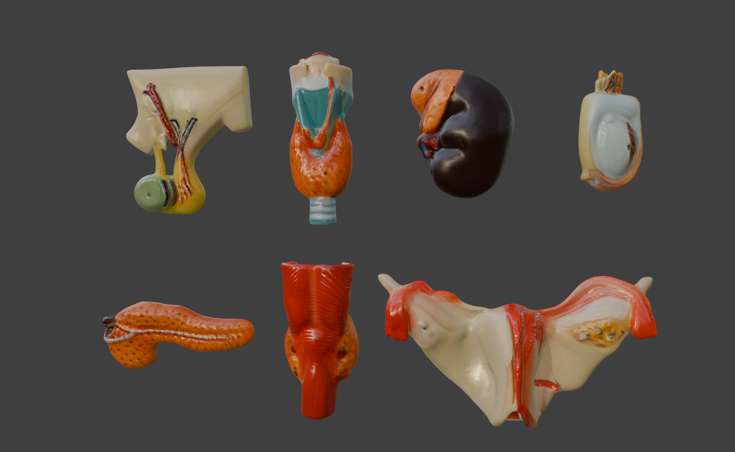 3D Complete Endocrine Gland Set Anatomy Model 3D print model_5