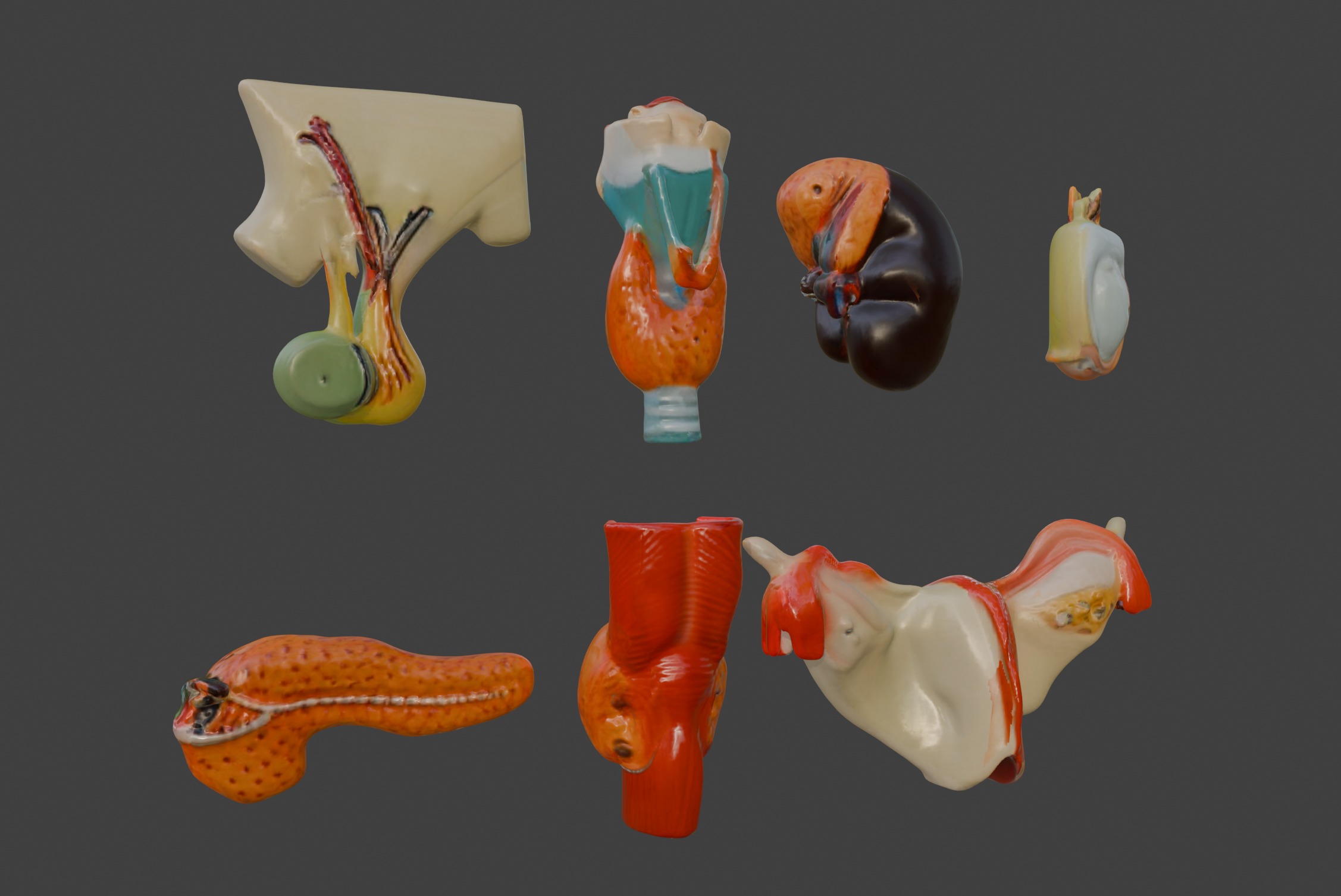 3D Complete Endocrine Gland Set Anatomy Model 3D print model_10