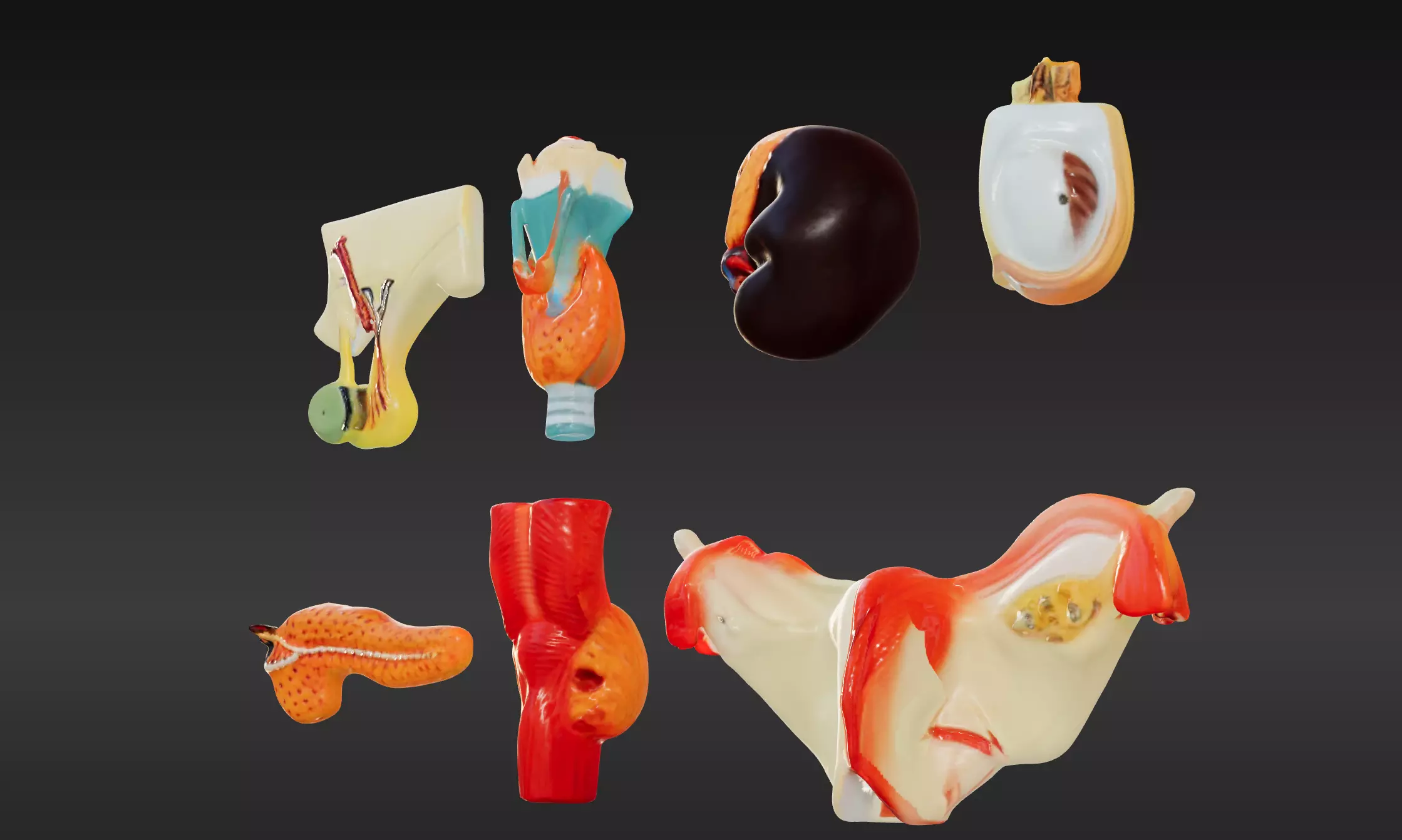 3D Complete Endocrine Gland Set Anatomy Model 3D print model_0