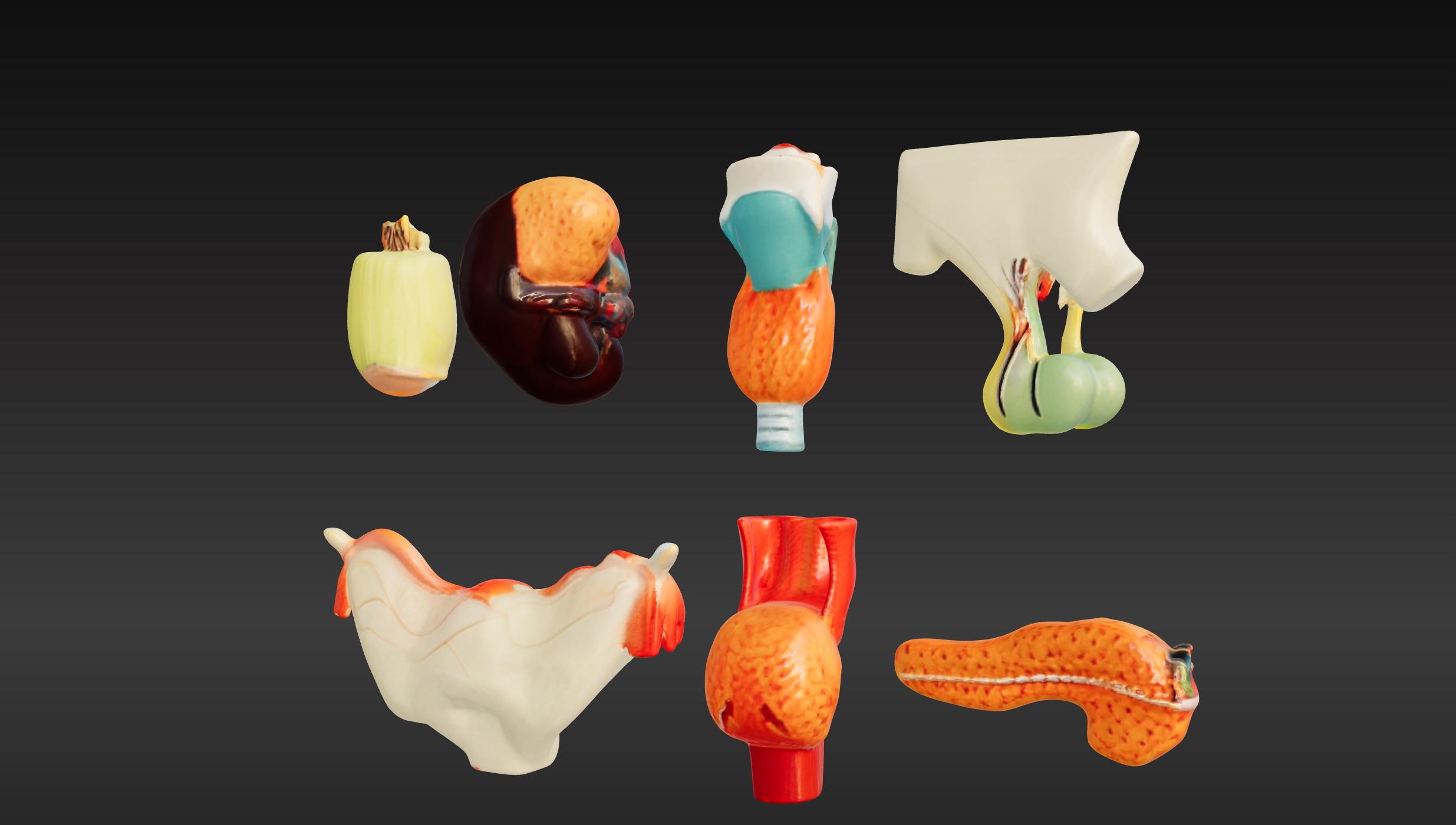 3D Complete Endocrine Gland Set Anatomy Model 3D print model_1