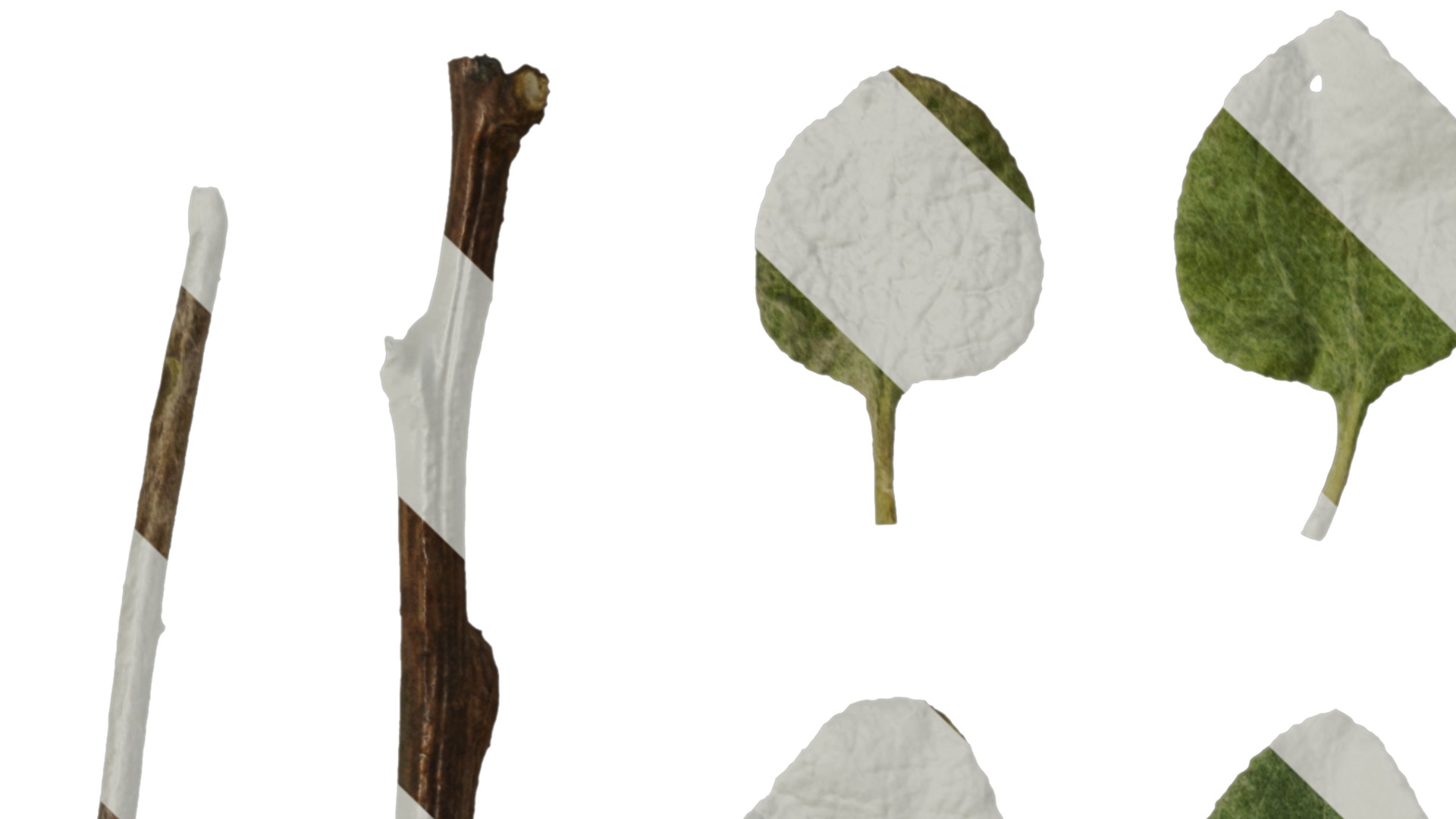 Anydrafts Helichrysum microphyllum Leaf 01 Texture_1