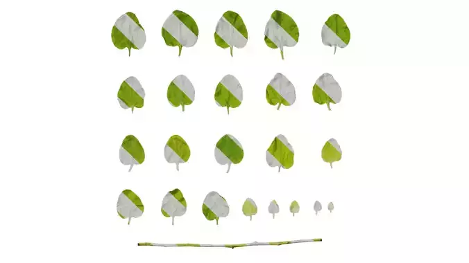 Anydrafts Helichrysum petiolare Leaf 01 Texture