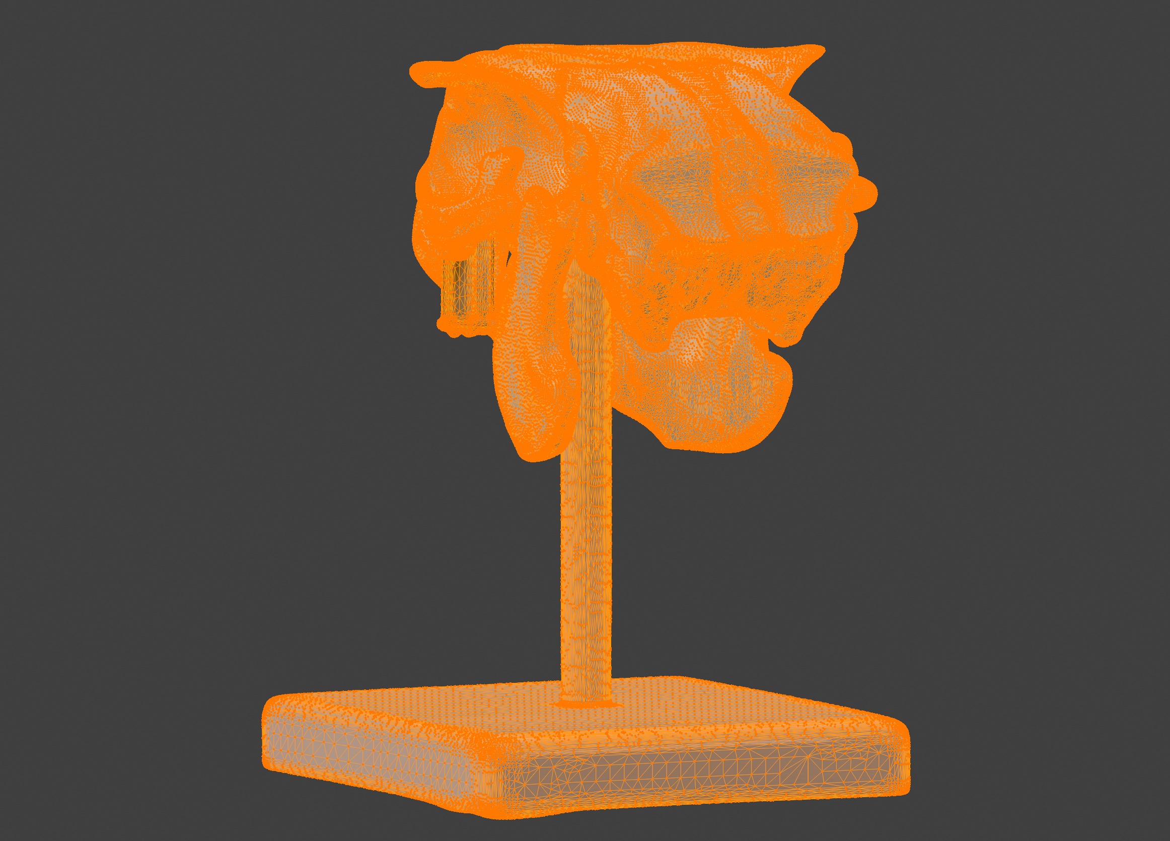 3D Model of Rabbit Skull 3D print model_19