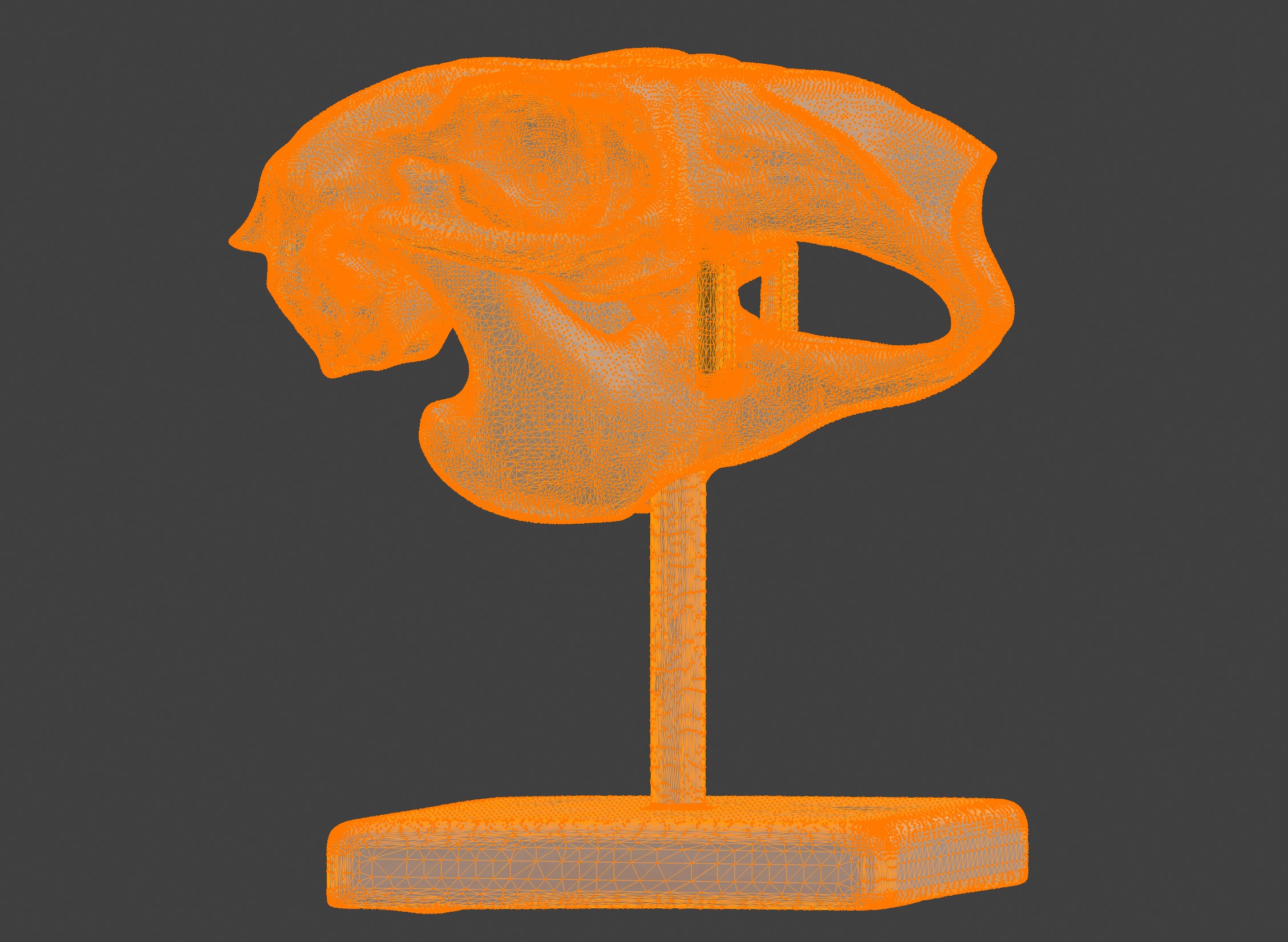 3D Model of Rabbit Skull 3D print model_20