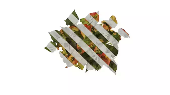 Anydrafts Houttuynia cordata chameleon Atlas 01