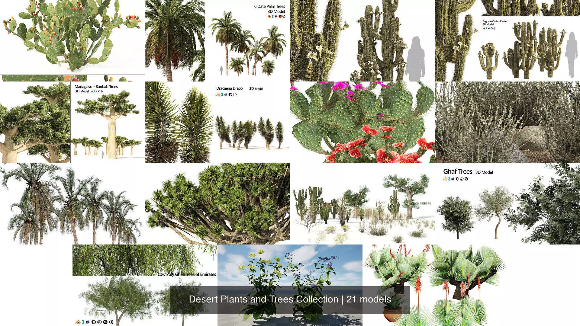 Desert Plants and Trees Collection _0