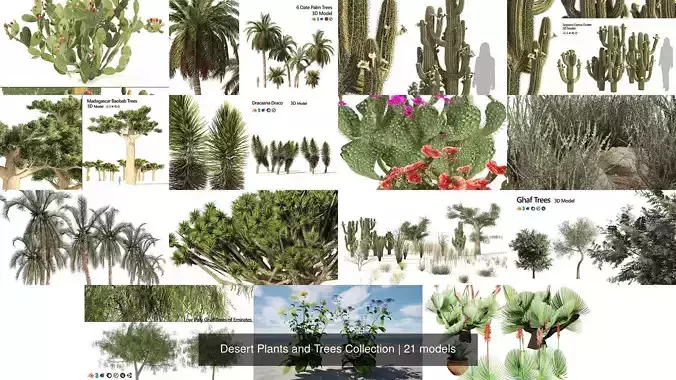 Desert Plants and Trees Collection 