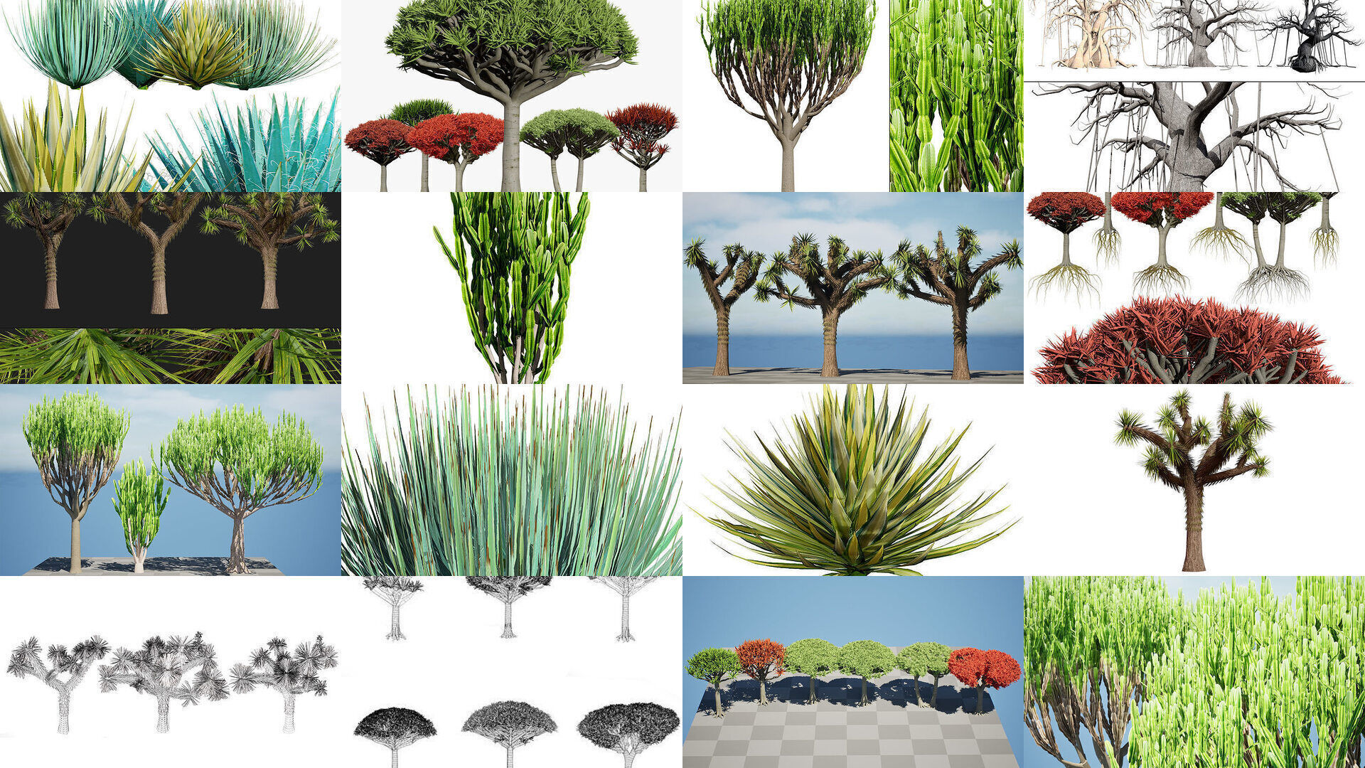 Desert Plants and Trees Collection _13