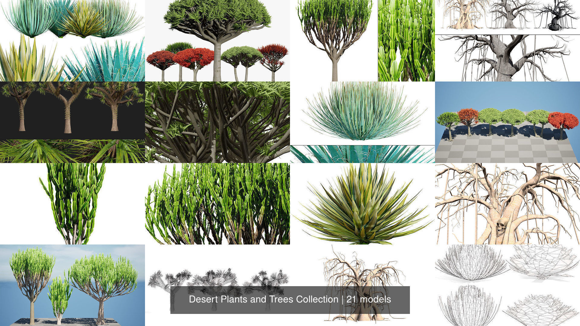 Desert Plants and Trees Collection _14