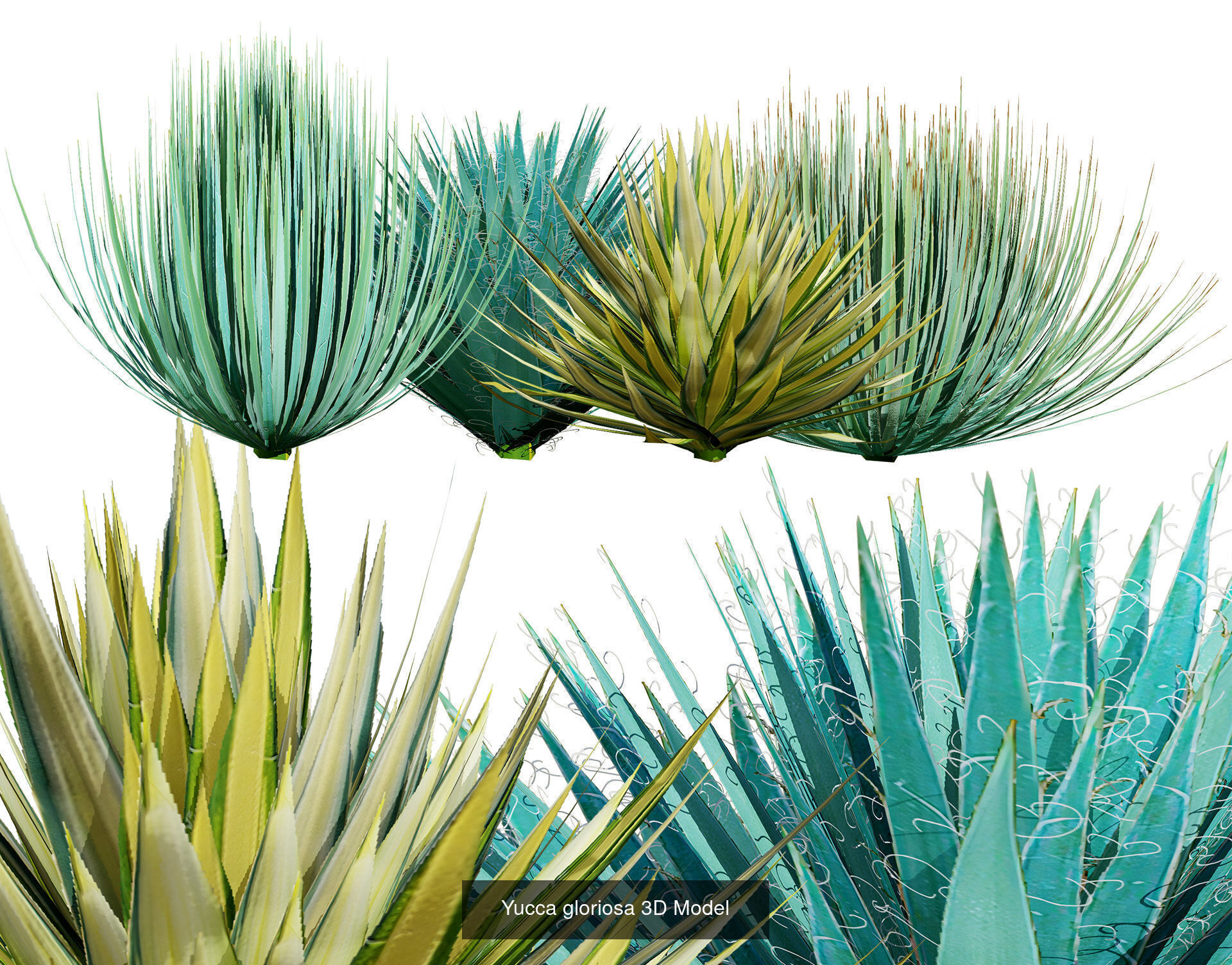 Desert Plants and Trees Collection _31