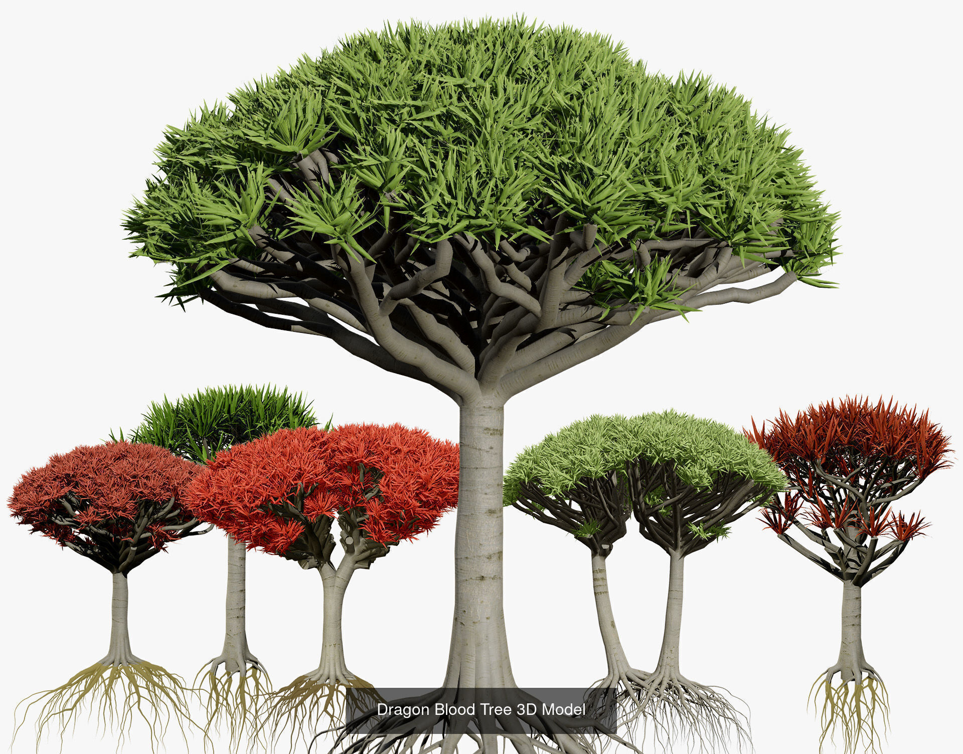 Desert Plants and Trees Collection _32