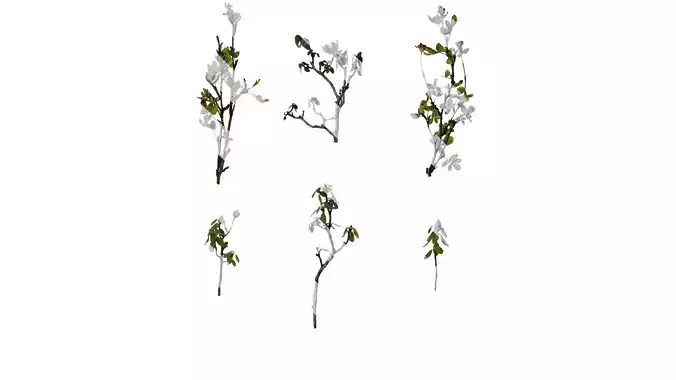 Anydrafts Rhododendron russatum Atlas 01