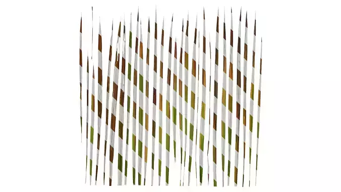 Anydrafts Imperata cylindrica Leaf 01