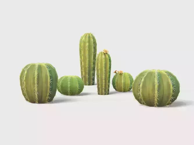 Barrel cactus Low-poly 3D model