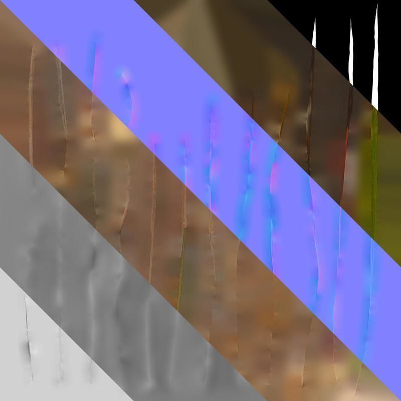 Anydrafts Imperata cylindrica Leaf 05 Texture_8