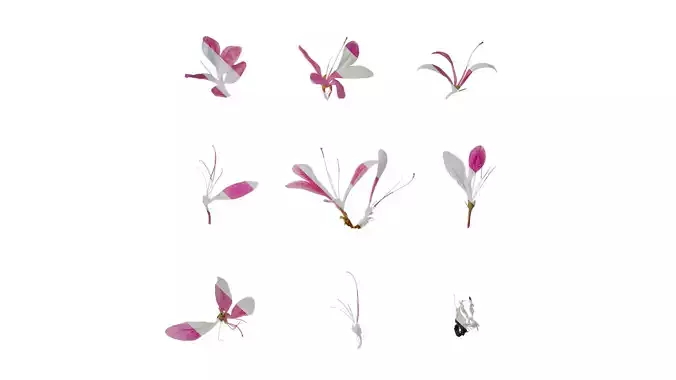 Anydrafts Rhododendron simsii Flower 10