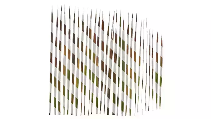 Anydrafts Imperata cylindrica Leaf 09