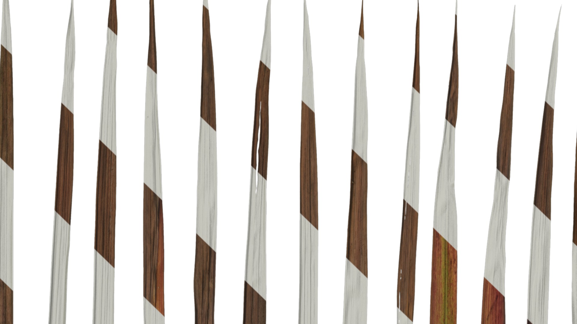 Anydrafts Imperata cylindrica Leaf 09 Texture_1