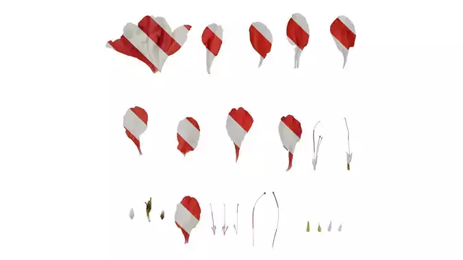 Anydrafts Rhododendron simsii Flower 13