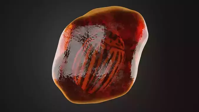 Fossilized Amber