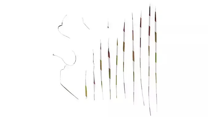 Anydrafts Imperata cylindrica rubra Leaf 01