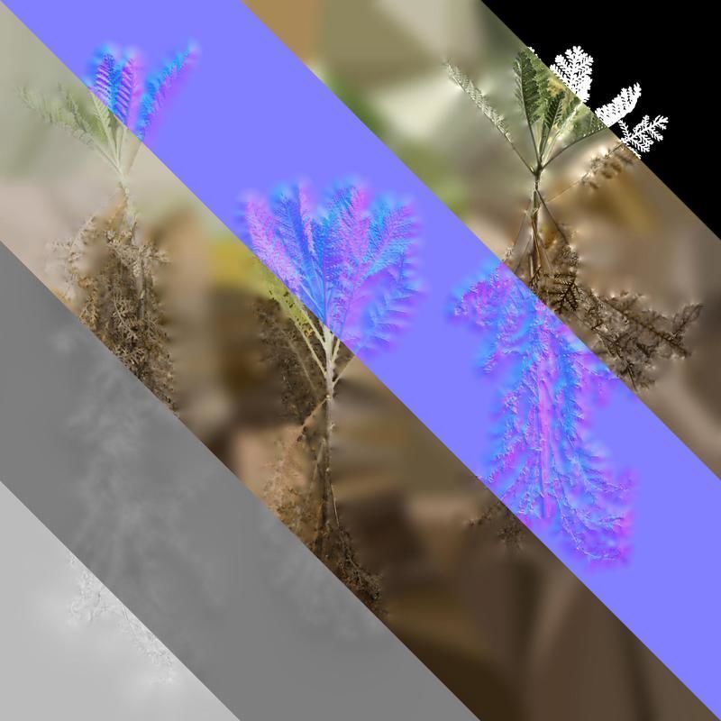 Anydrafts Jacobaea maritima Atlas 03 Texture_8