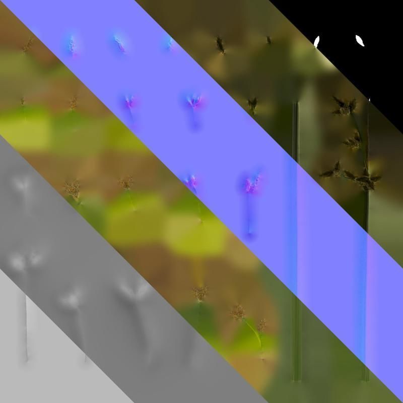 Anydrafts Juncus effusus Atlas 01 Texture_8