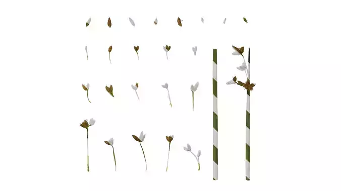 Anydrafts Juncus effusus Atlas 01 Texture
