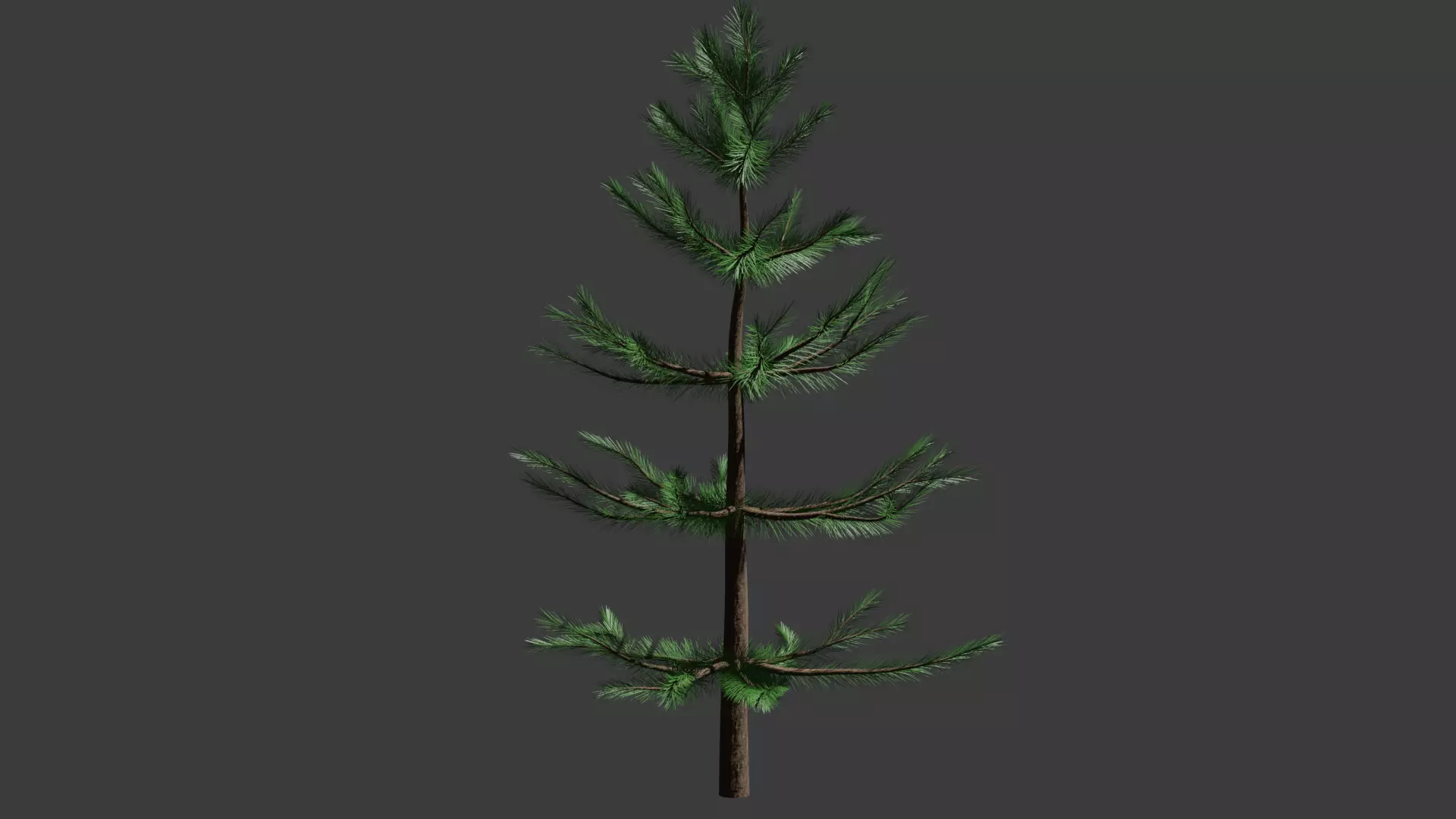 Pine tree Free low-poly 3D model