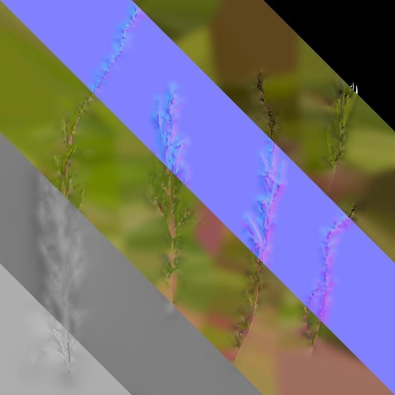 Anydrafts Kochia scoparia Atlas 01 Texture_8