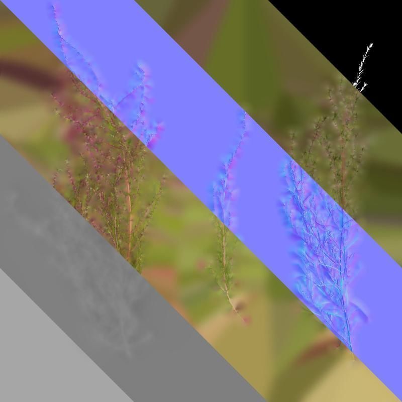 Anydrafts Kochia scoparia Atlas 03 Texture_8