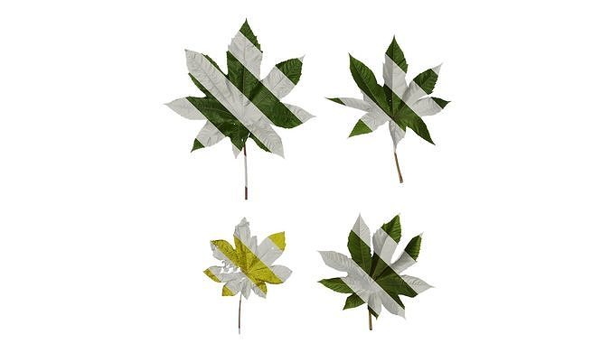 Anydrafts Ricinus communis Leaf 04 Texture