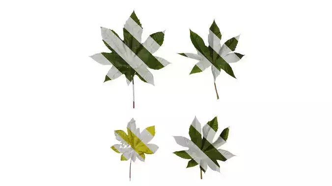 Anydrafts Ricinus communis Leaf 04