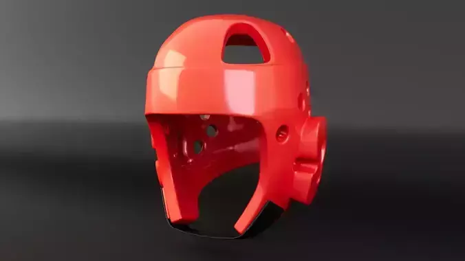 Taekwondo Helmet