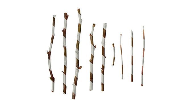 Anydrafts Ricinus communis Stem 01 Texture