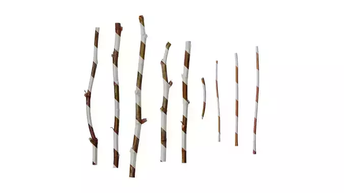 Anydrafts Ricinus communis Stem 01