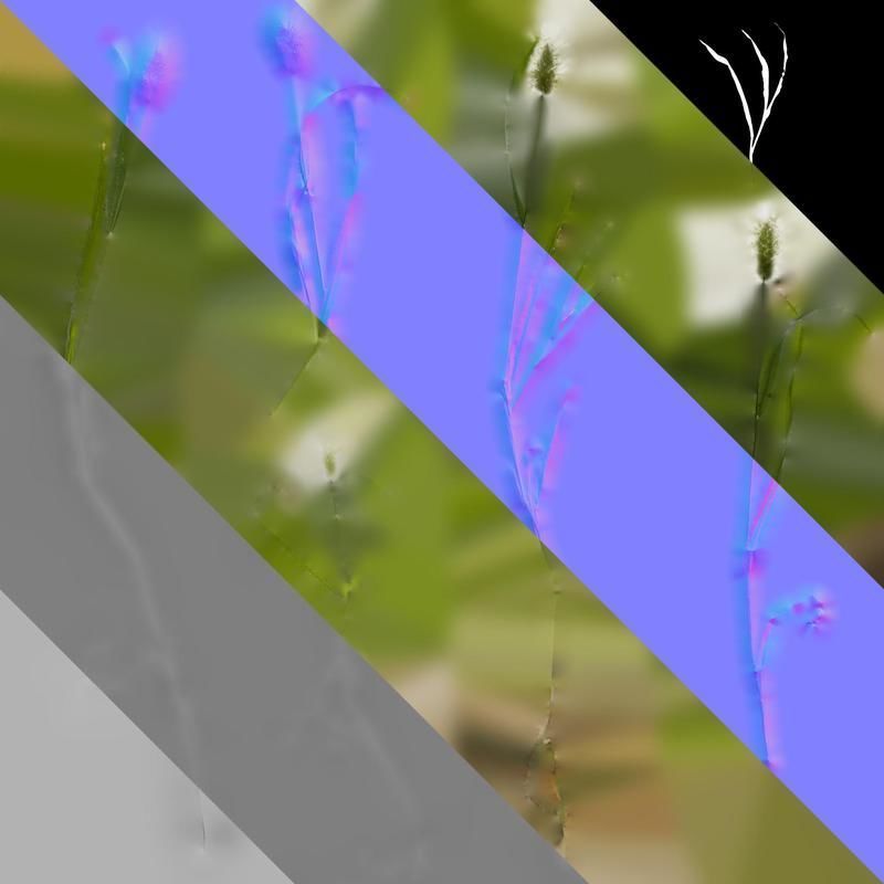 Anydrafts Lagurus ovatus Atlas 04 Texture_8